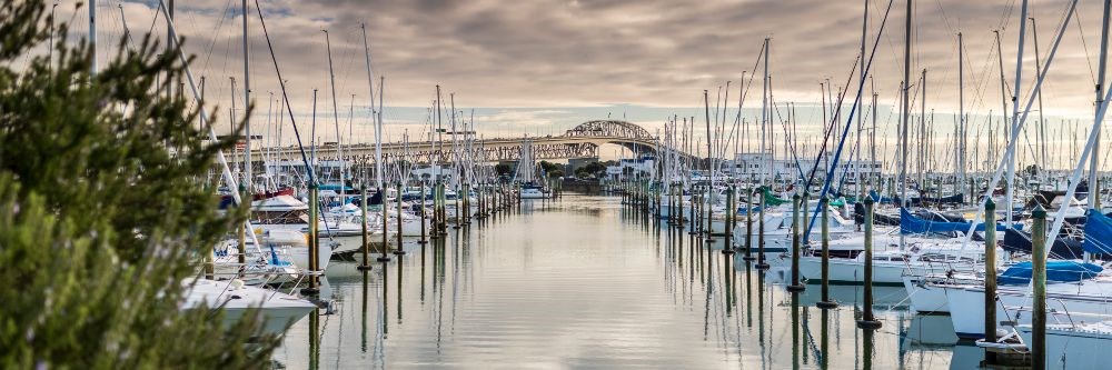 Auckland Marina