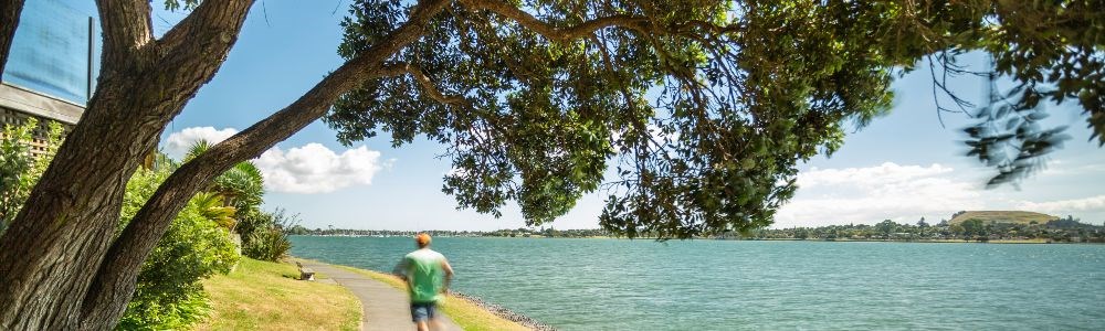 Pakuranga East Auckland