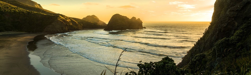 Piha Beach in West Auckland