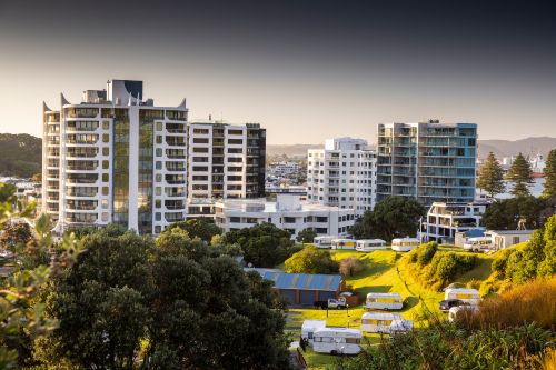 Auckland suburb report October 2024