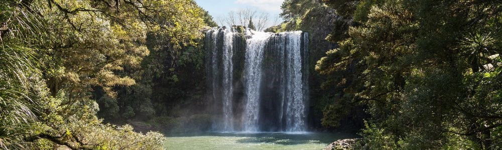 Waterfall in Whangarei